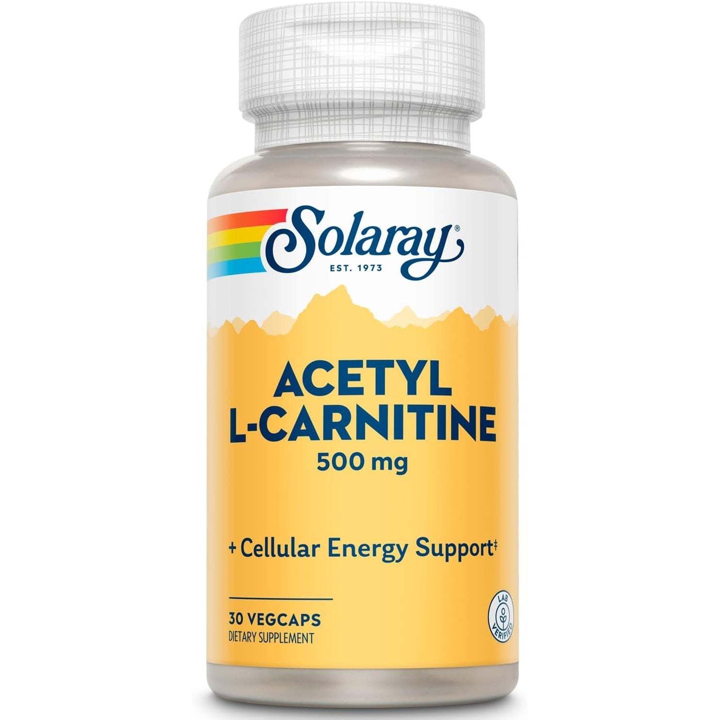 acetyl l-carnitine Acetyl-L-Carnitine 500 mg