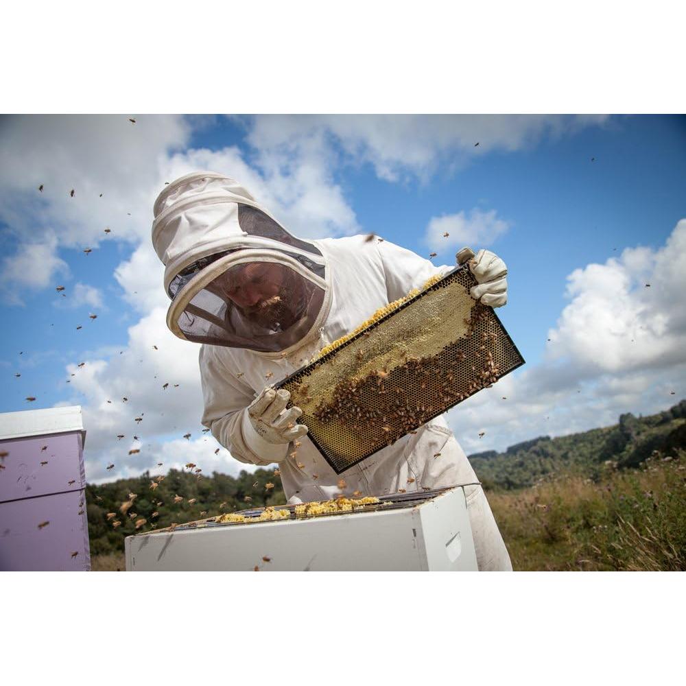 Egmont Pure New Zealand Honey 500g
