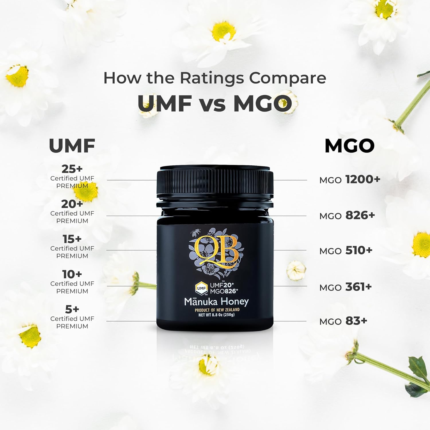 عسل مانوكا كيو بي UMF 15+، عسل مانوكا أحادي الزهرة من نيوزيلندا، نقي 100%، حاصل على شهادة UMFHA | خام وغير معدل وراثيًا | 250 غرام