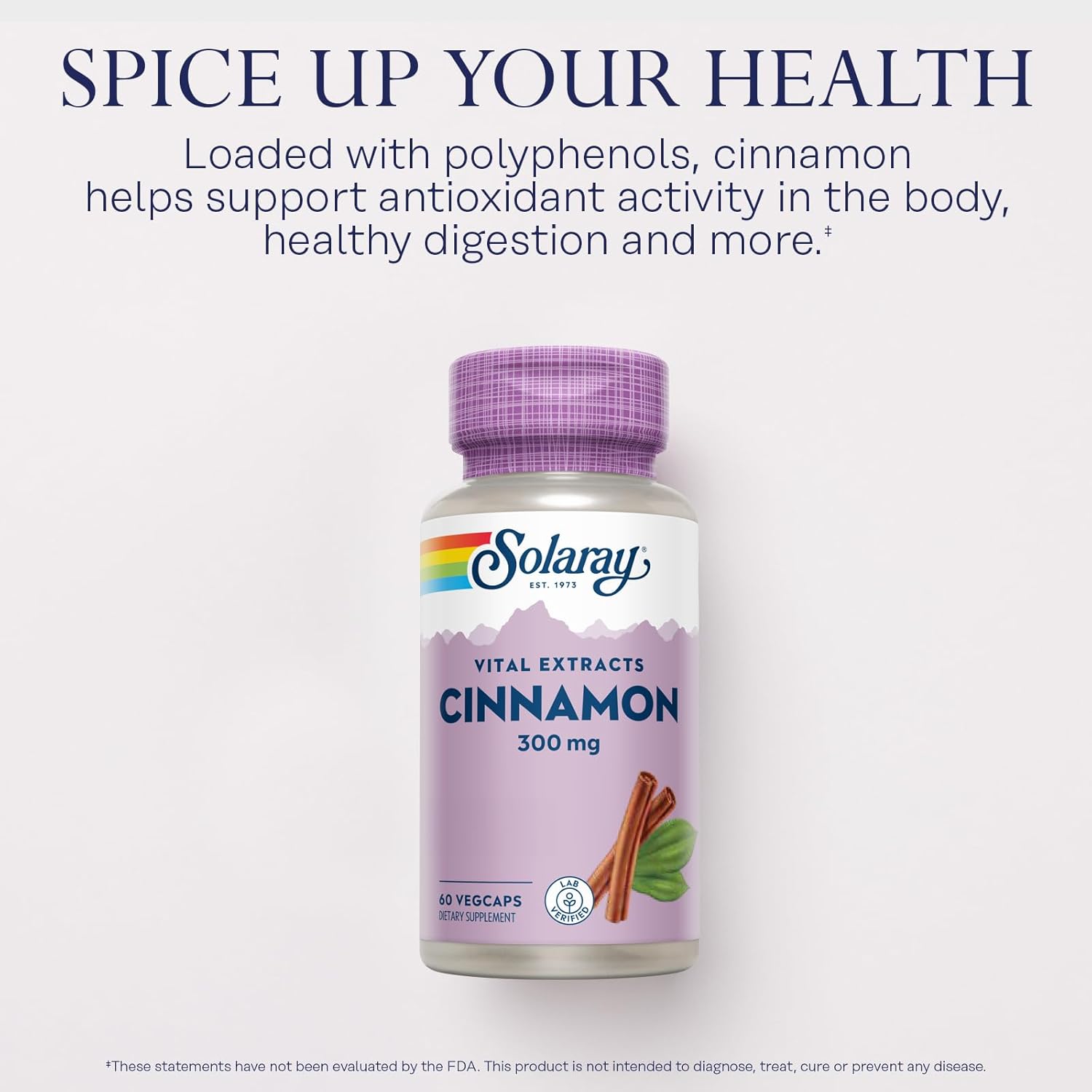 Solaray Cinnamon Extract 300mg  60 VegCaps