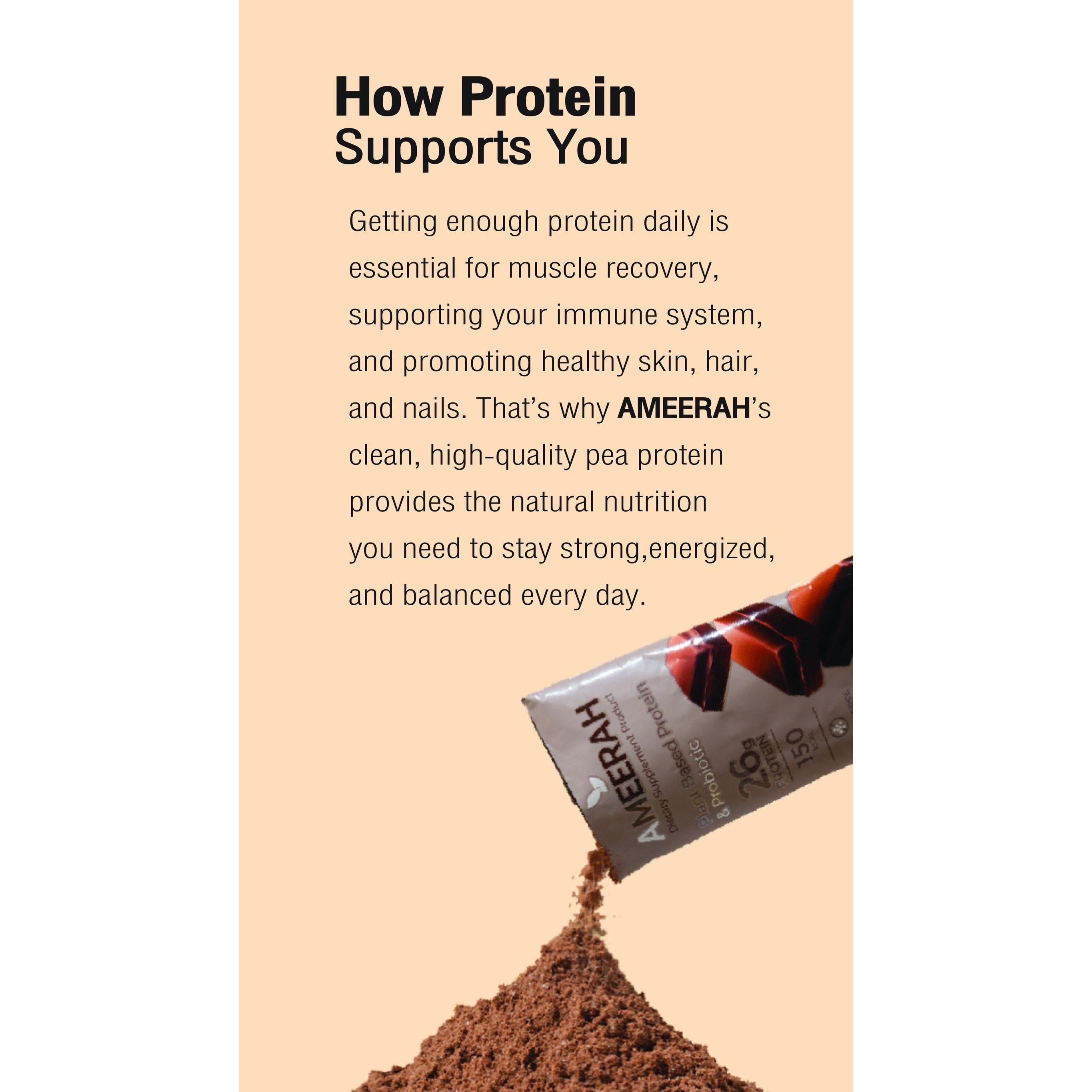 أميره مسحوق البروتين النباتي والبروبيوتيك 26 جرام بروتين خالي من السكر بنكهة الشوكولاتة الداكنة 40 جرام