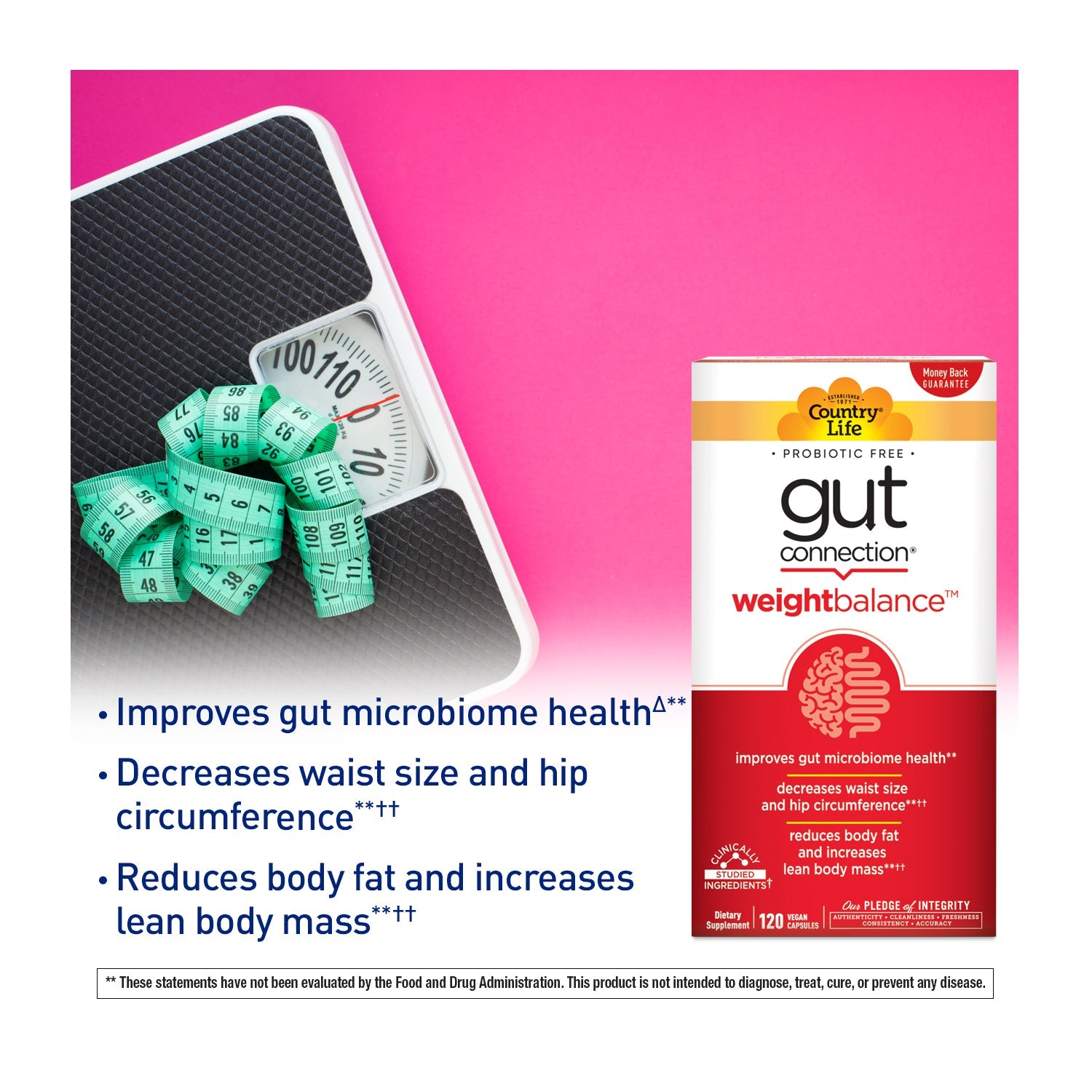 Country Life Gut Connection® Weight Balance Prebiotic Supplement Vegan and Gluten Free 120 Capsules