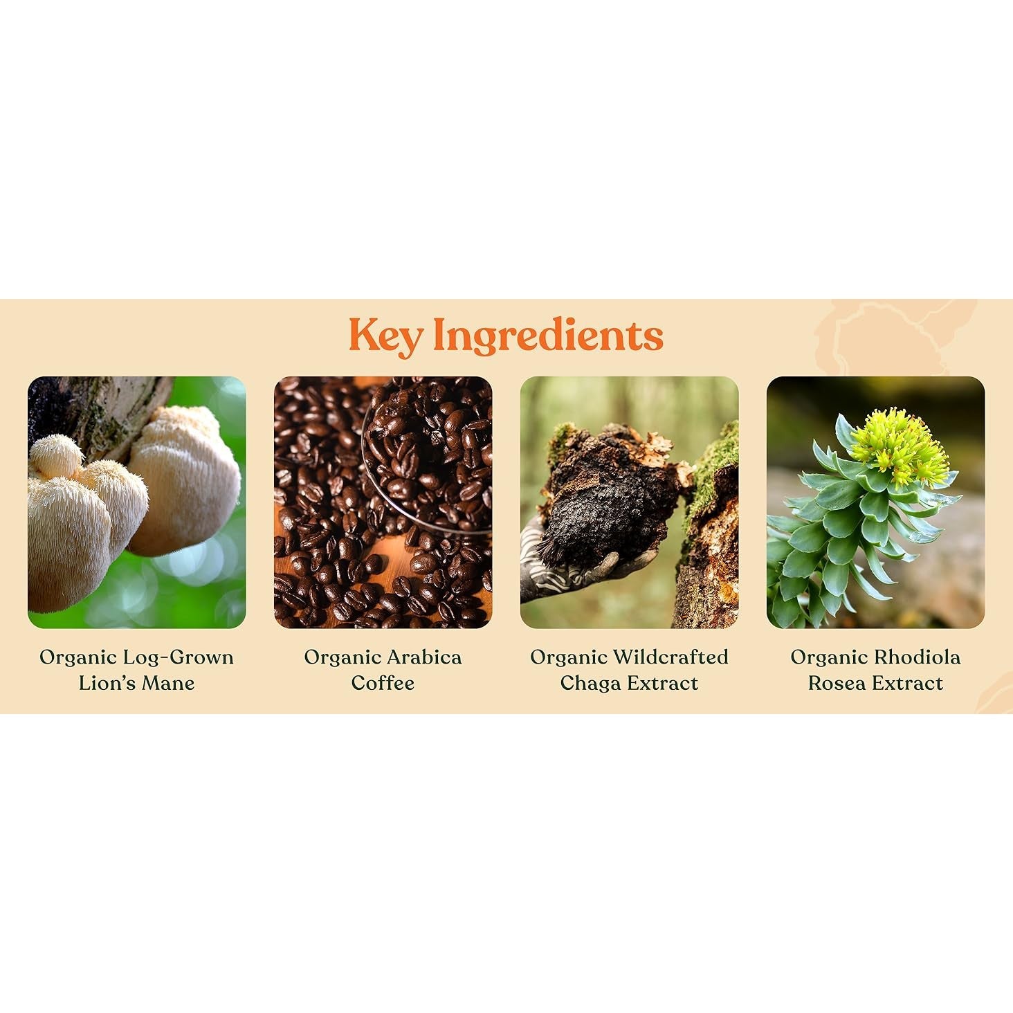 Four Sigmatic THINK Organic Coffee With Lion's Mane & Chaga Mushrroms 10 Packets