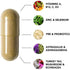 HAIRtamin IMMUNEtamin Immunity Booster with Elderberry, Vitamin C, Zinc, Vitamin D3 30 Vegetarian Capsules
