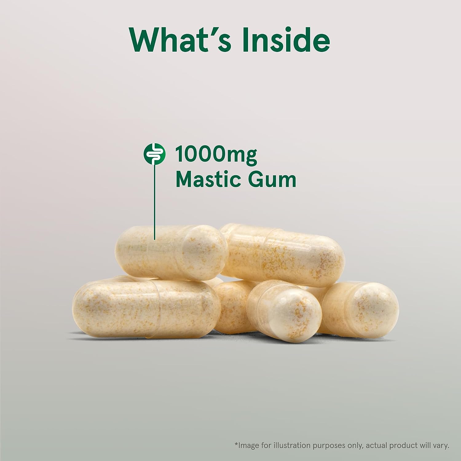 Mastic Gum - Digestive Support - 1,000 MG (60 Vegetarian Capsules) at the  Vitamin Shoppe