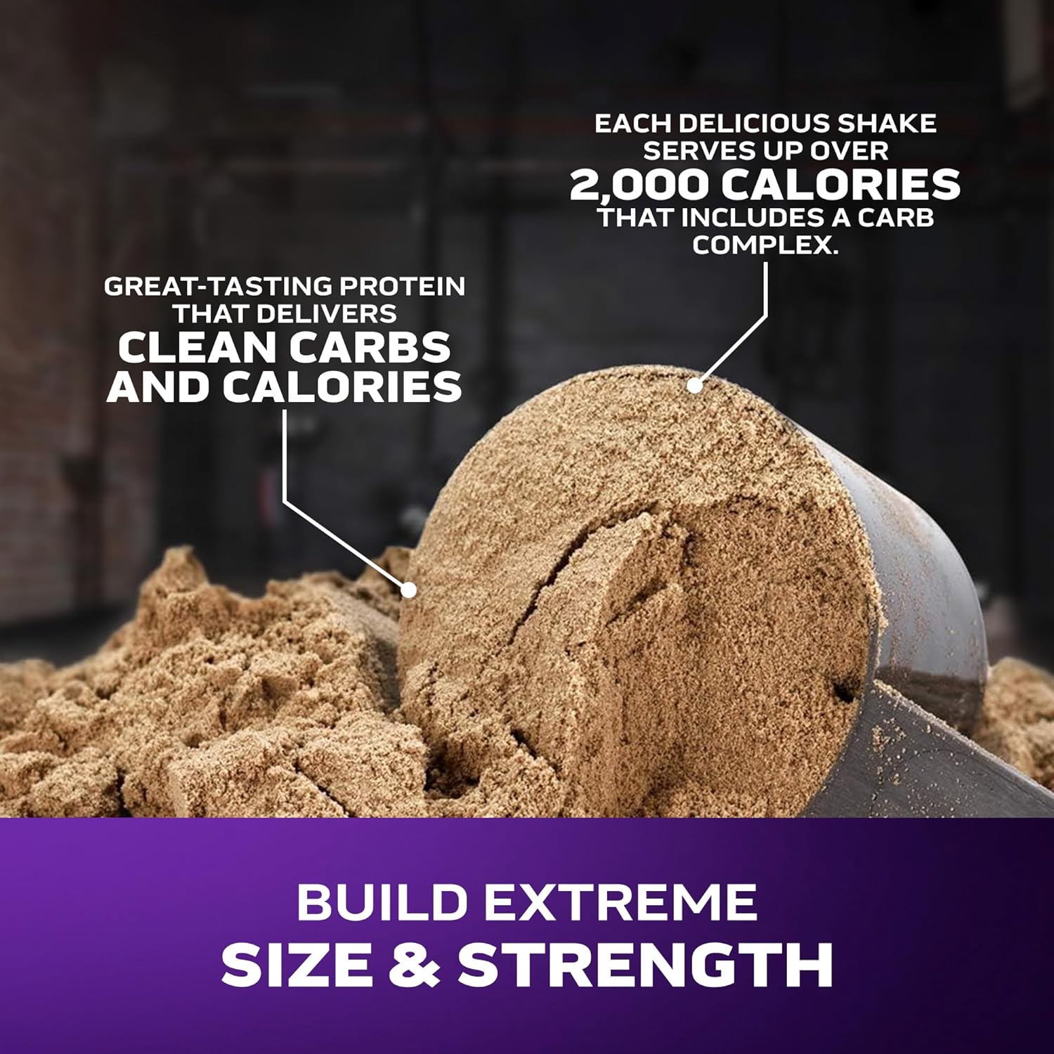 MuscleTech MassTech Extrem 2000 High Protein Mass Gainer 80g Protein w ...