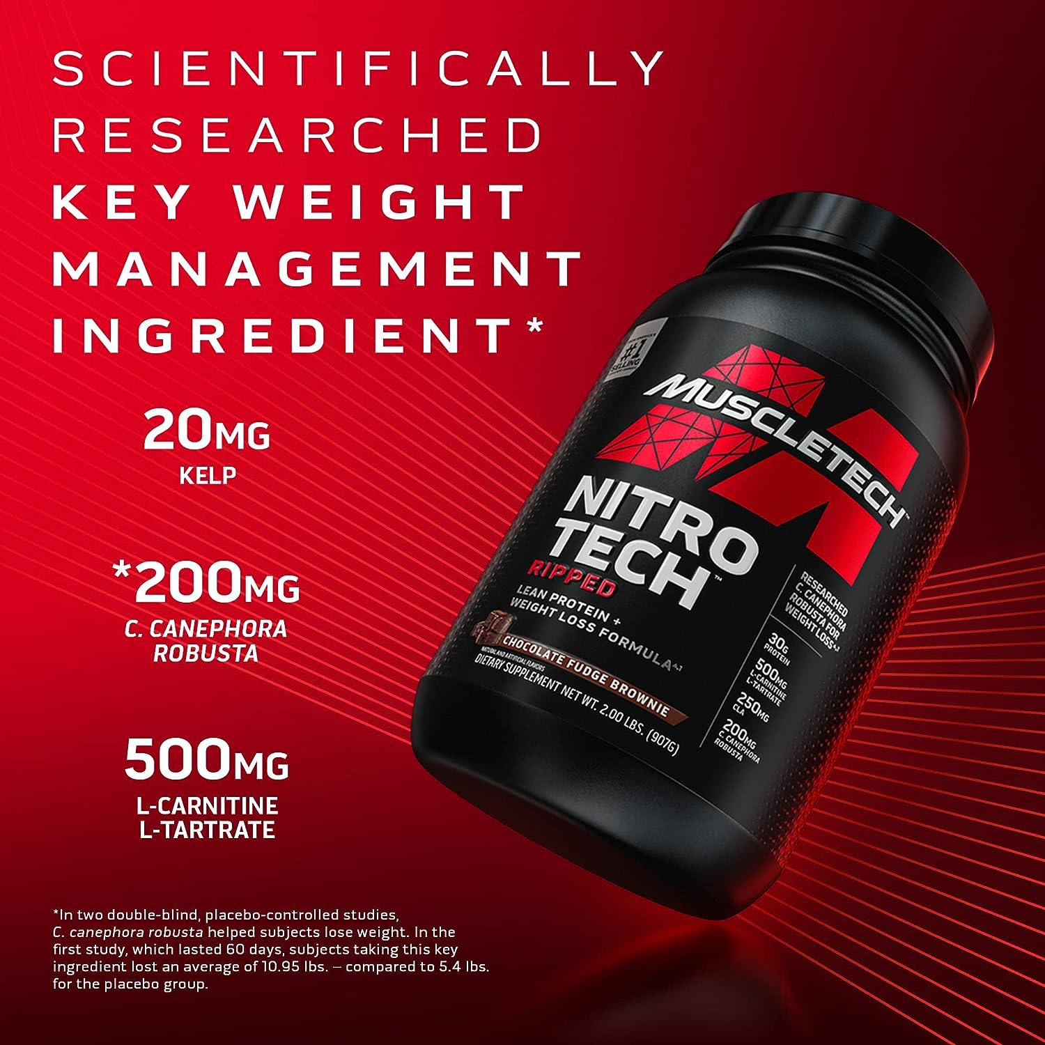 MuscleTech Nitro-Tech Ripped | Lean Protein + Weight Loss | Isolate, Concentrate & Peptides | 30g Protein 500mg L-Carnitine Chocolate Fudge Brownie 1.82 KG