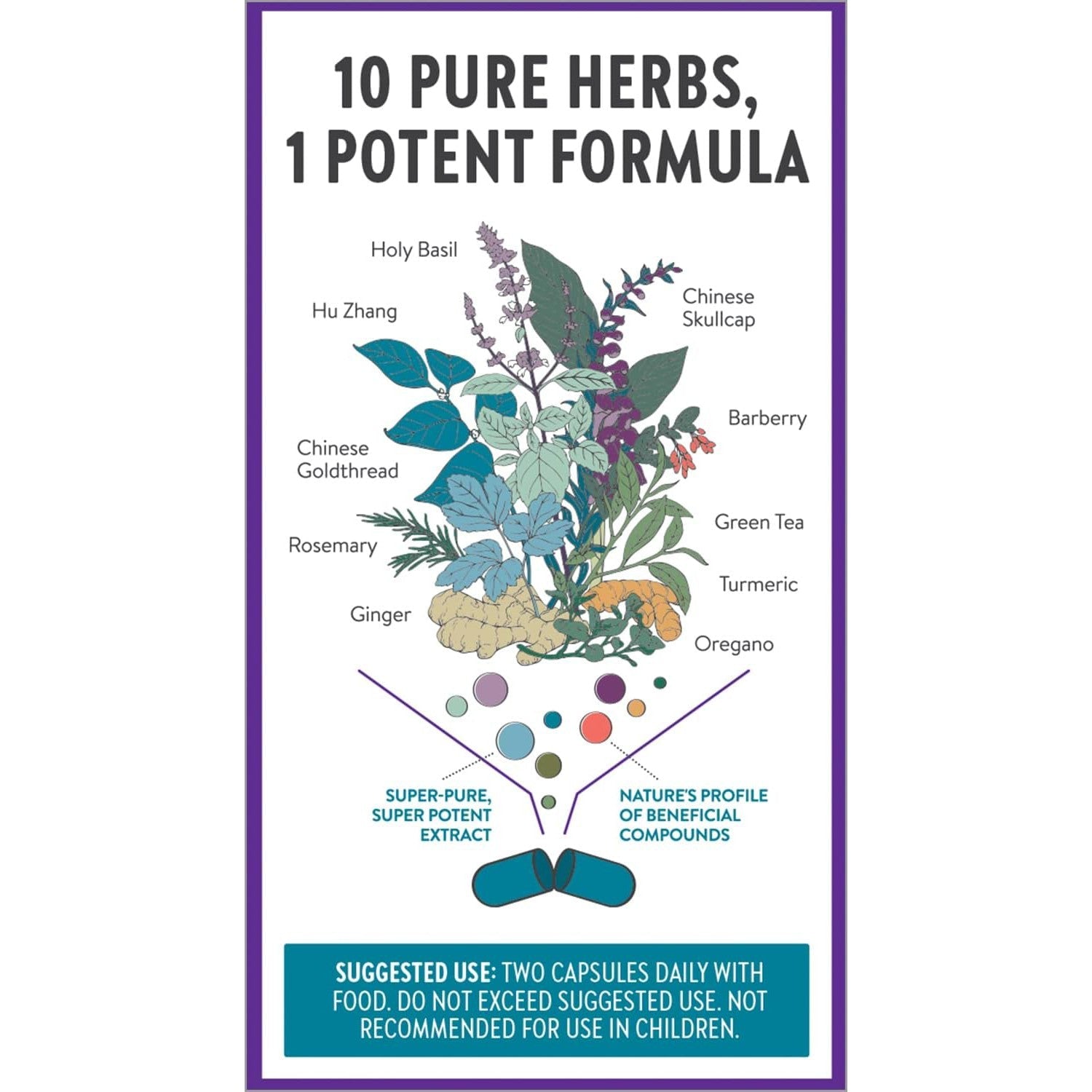 New Chapter Zyflamend Joint Support 10-in-1 Superfood Blend with Ginger & Turmeric for Healthy Inflammation Response & Herbal Pain Relief 120 Vegetarian Capsules