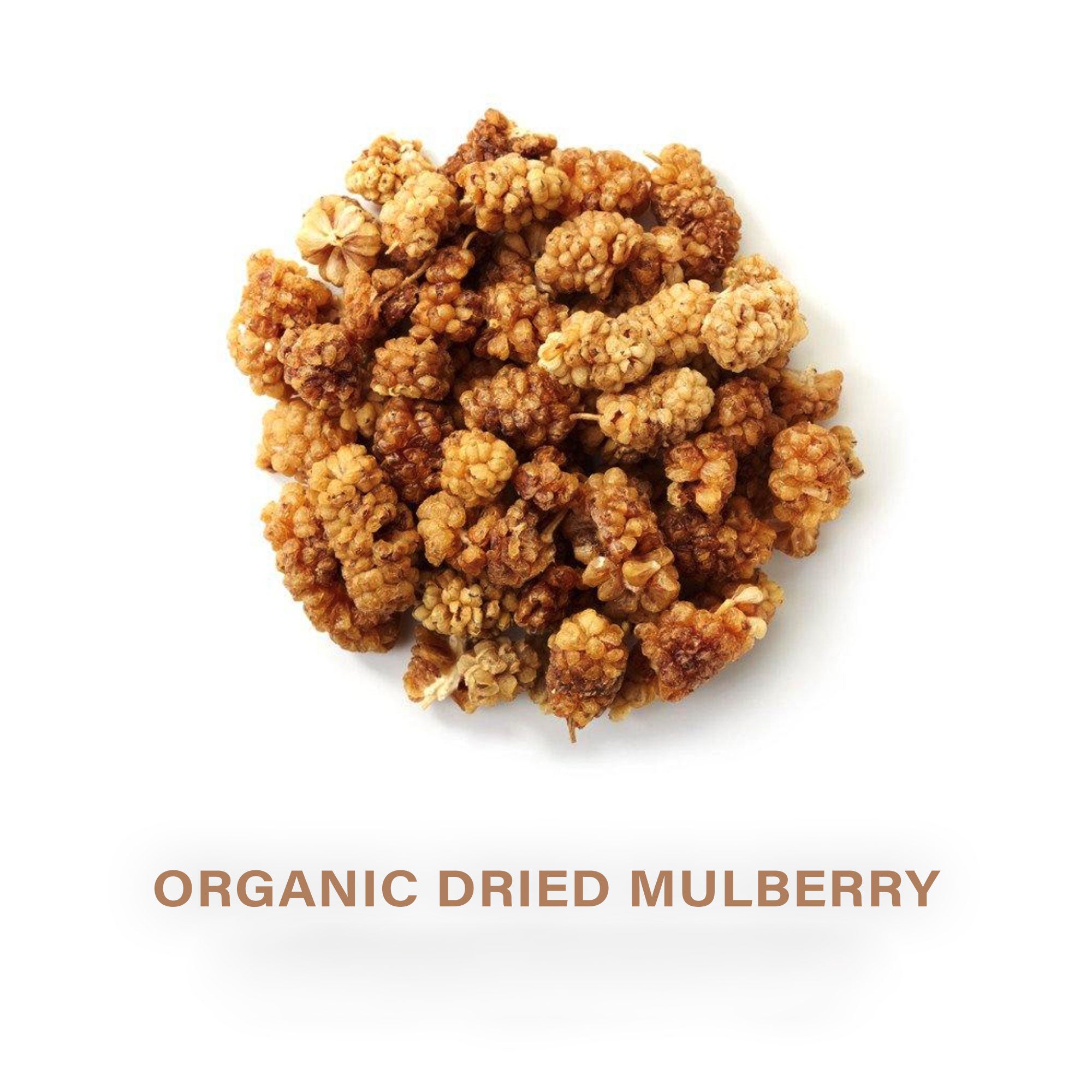 Holistic Corner Organic Dried Mulberry | 100g