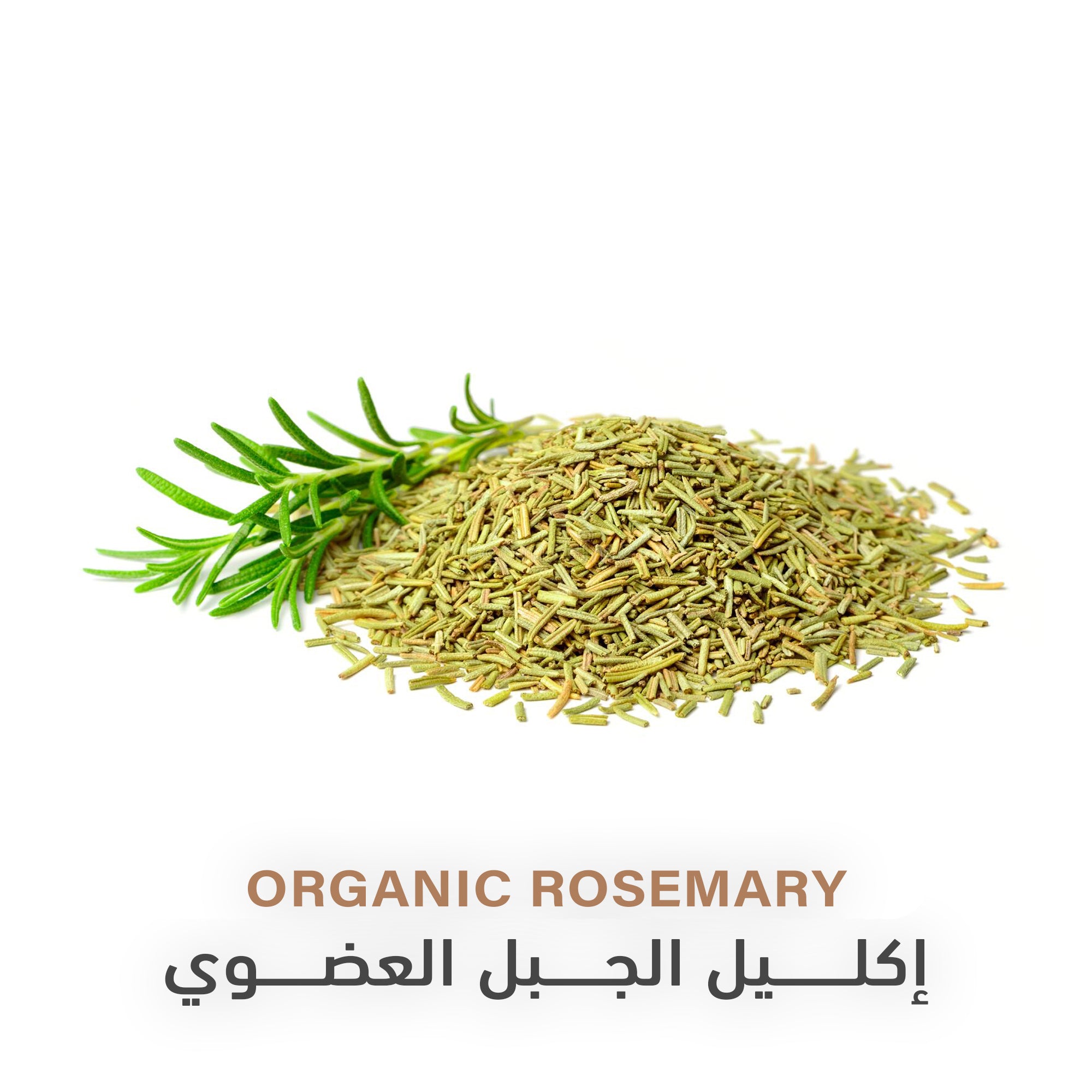 Holistic Corner Organic Rosemary 30gm