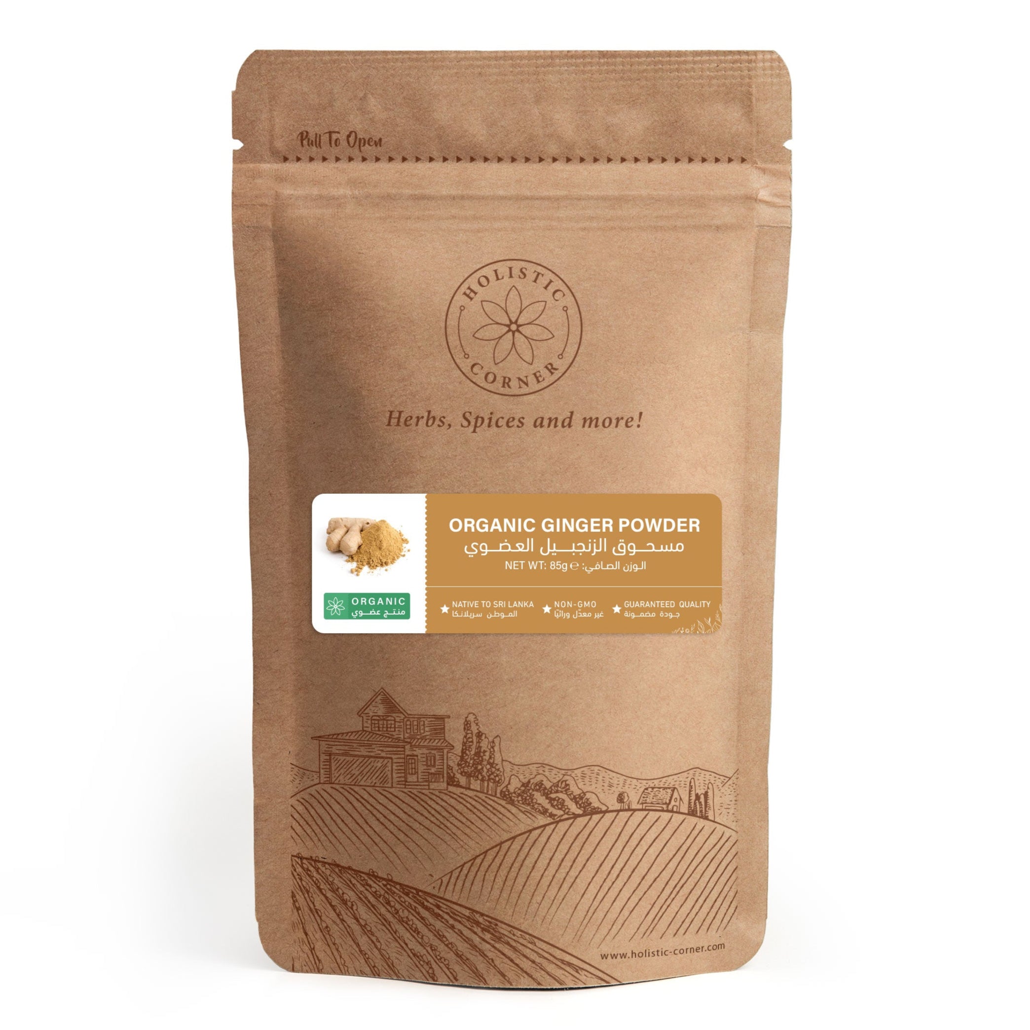 Holistic Corner Organic Ginger Powder | 85g