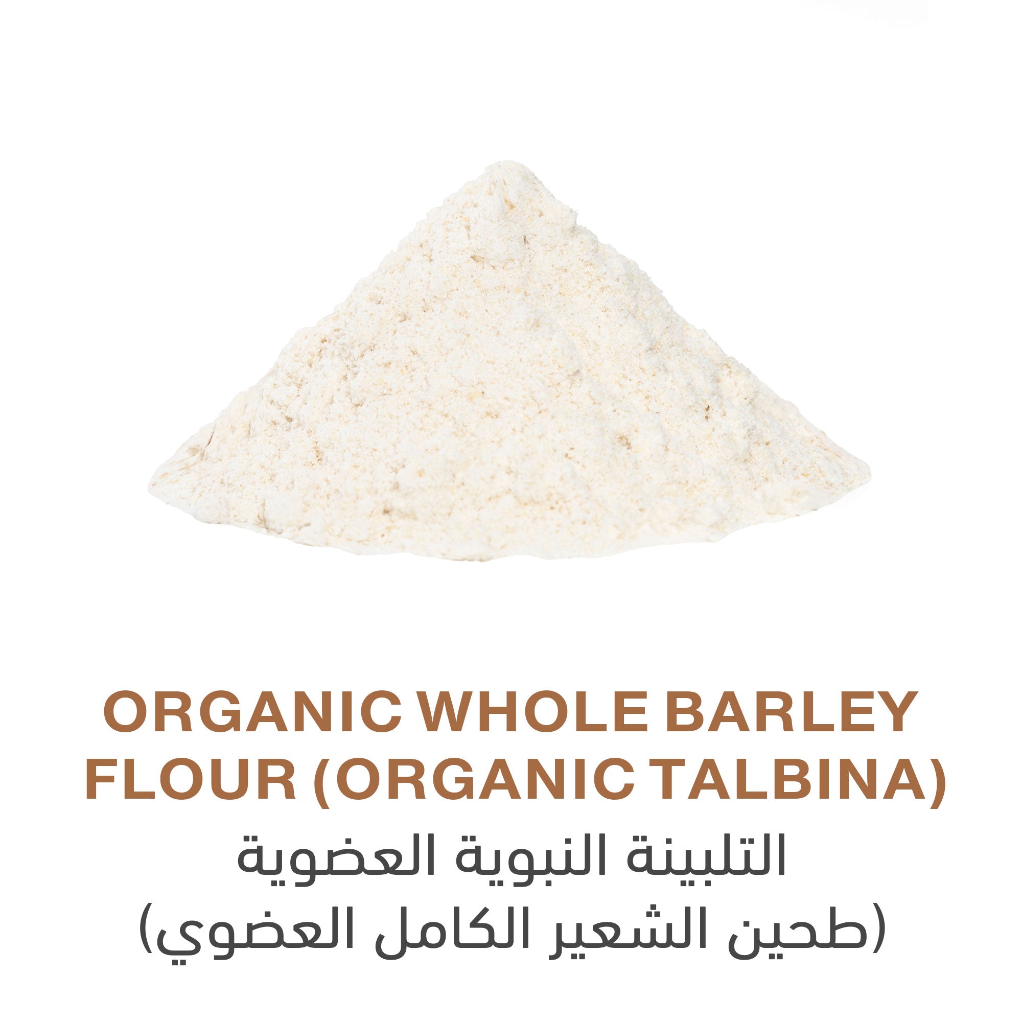 Holistic Corner Organic Whole Barley Flour (Talbina) | 250g