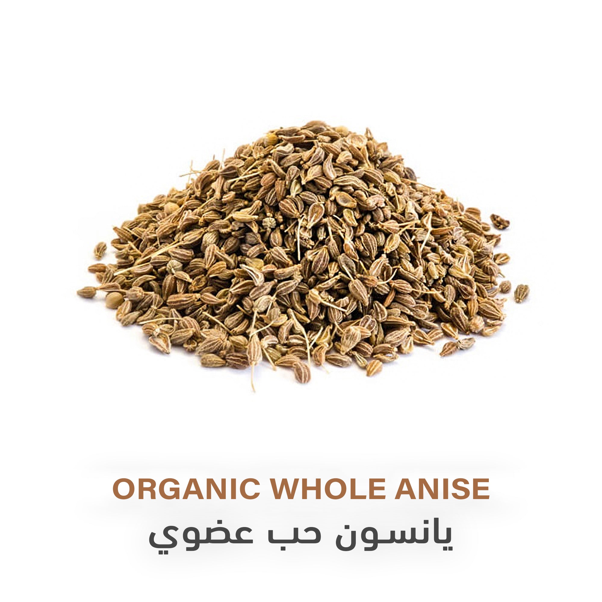 Holistic Corner Organic Whole Anise | 85g