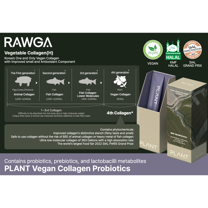 RAWGA PLANT Vegan Collagen with Probiotic - Real Plant-Based Jelly Collagen Supplement, Low-Molecular Collagen Peptides, Red Grape Flavor 15 Sticks