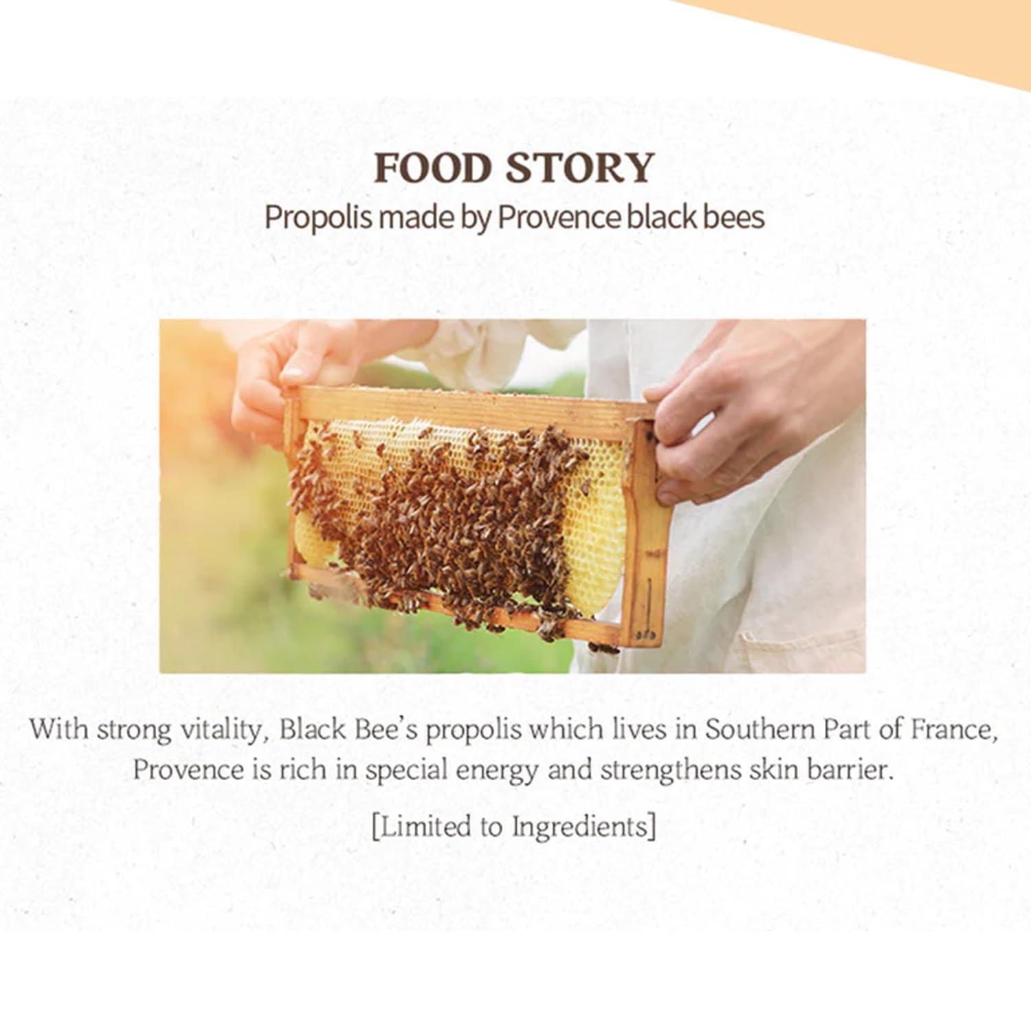 سكين فود مستحلب غني بالعسل الملكي، مستحلب أساسي لتغذية وترطيب البشرة بالعسل المركز، يرطب البشرة، يناسب البشرة الجافة والخشنة 160 مل