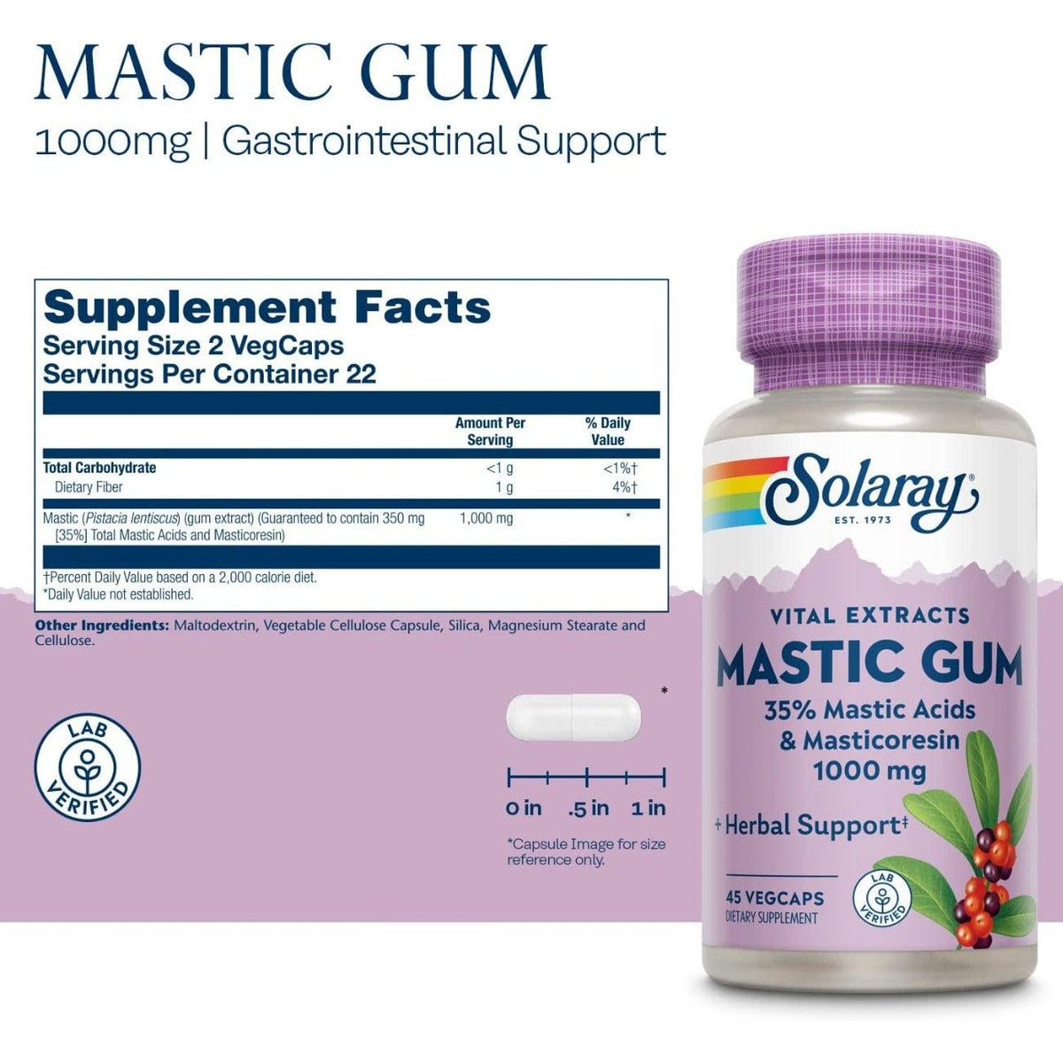 Solaray Mastic Gum Extract 1000mg 45 Vegetable Capsules