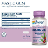 Solaray Mastic Gum Extract 1000mg 45 Vegetable Capsules