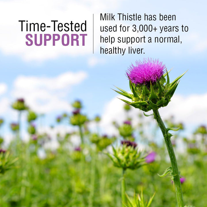 Solaray Milk Thistle Seed Extract 175mg Antioxidant Intended to Help Support a Normal, Healthy Liver Non-GMO & Vegan 60 Vegetable Capsules