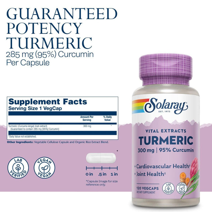 Solaray Turmeric Root Extract One Daily 300mg | 60 Veg Capsules