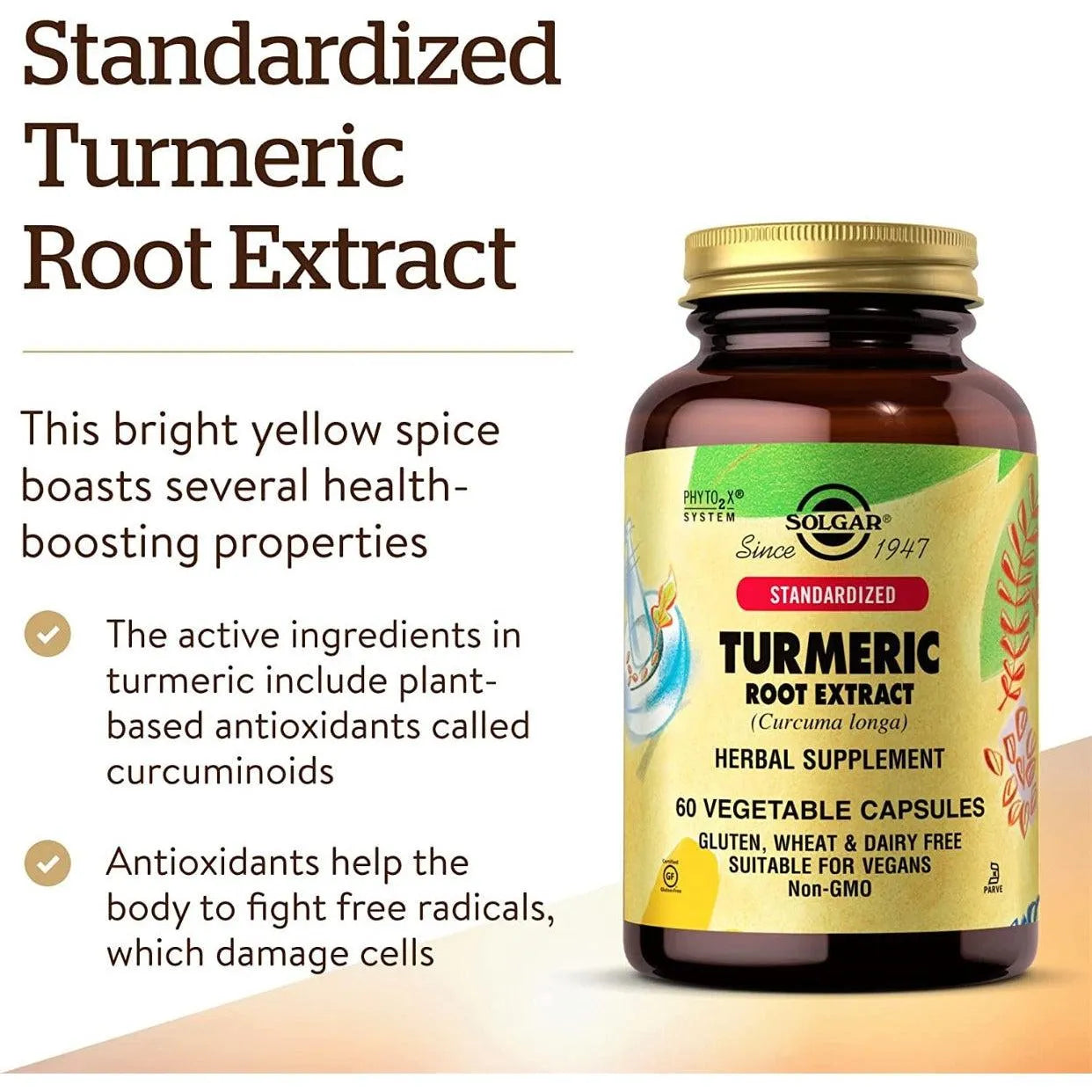 Solgar Standardized Turmeric Root Extract Curcumin 60 Vegetable Capsules