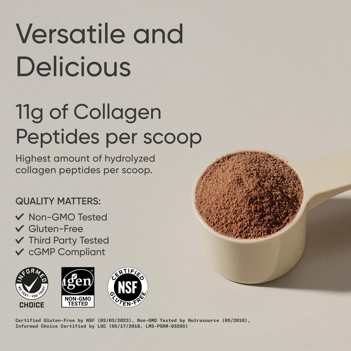 Sports Research Collagen Peptides - Hydrolyzed Type 1 & 3 Collagen Powder for Healthy Skin, Nails, & Joints Dark chocolate 640g