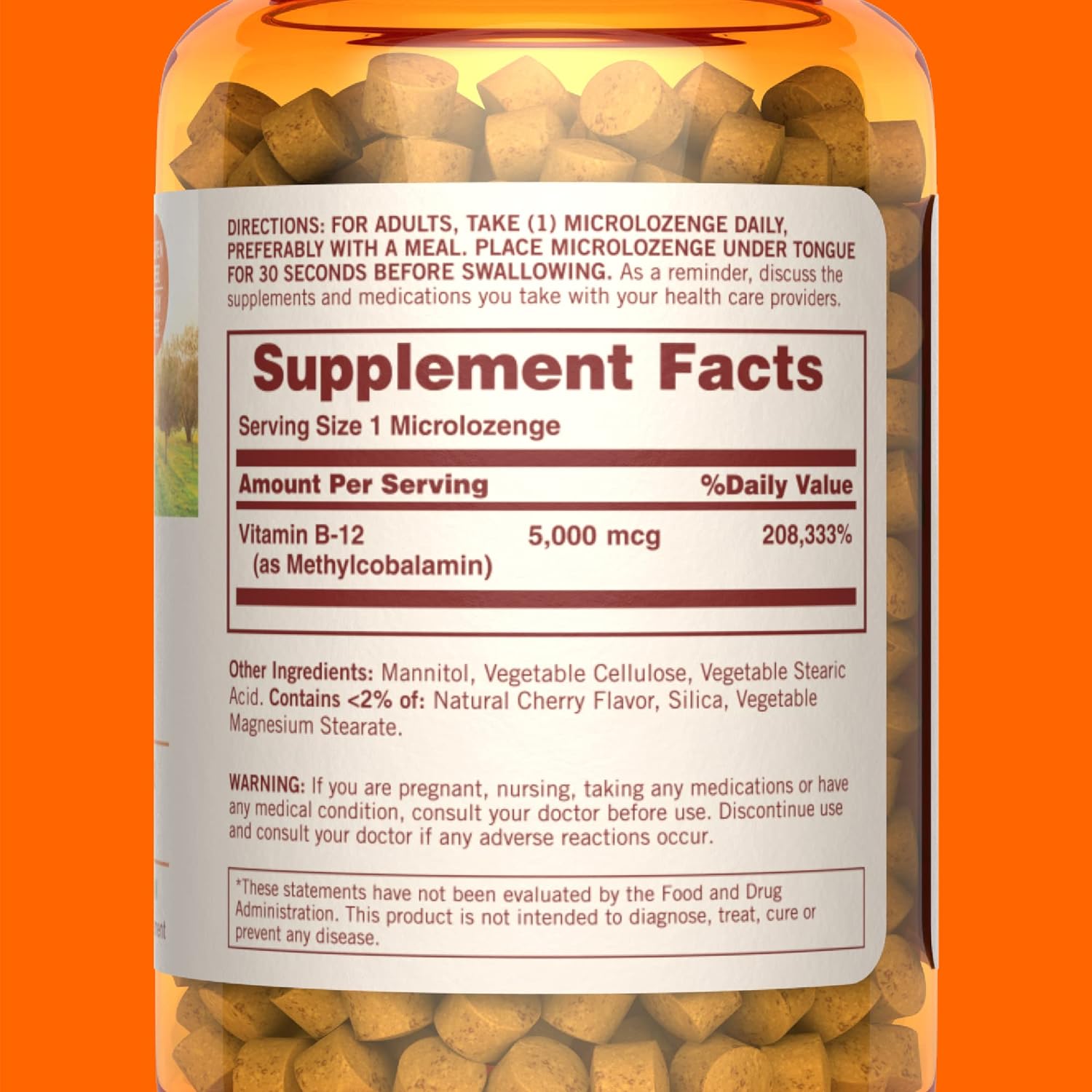 Sundown Dissolvable Vitamin B12 5000 MCG (as Methylcobalamin) 90 Microlozenges