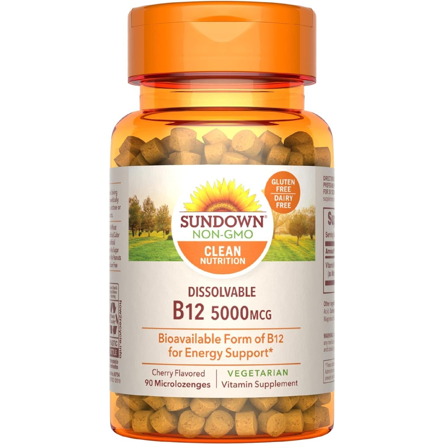 Sundown Dissolvable Vitamin B12 5000 MCG (as Methylcobalamin) 90 Microlozenges