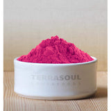 Terrasoul Superfoods Organic Dragon Fruit Powder Pink Pitaya 100g | 100% Natural | No Added Sugar
