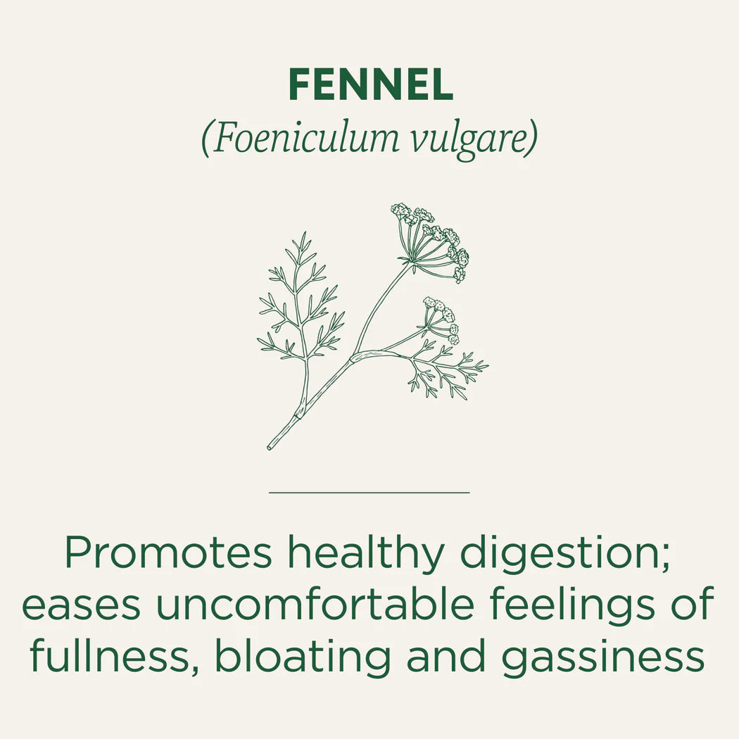 Traditional Medicinals Organic Fennel Tea Promotes Healthy Digestion 16 bags