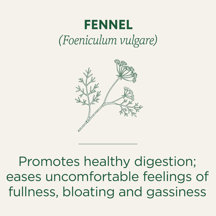 Traditional Medicinals Organic Fennel Tea Promotes Healthy Digestion 16 bags