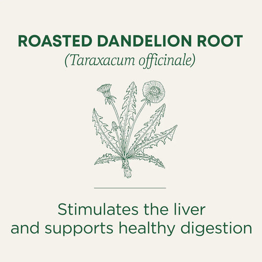 Traditional Medicinals Organic Roasted Dandelion Root Tea 16 bags