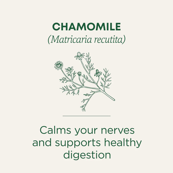 Traditional Medicinals Tea Organic Chamomile 16 Bags